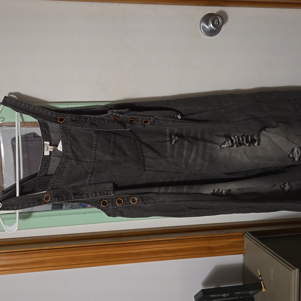 Easel overalls
